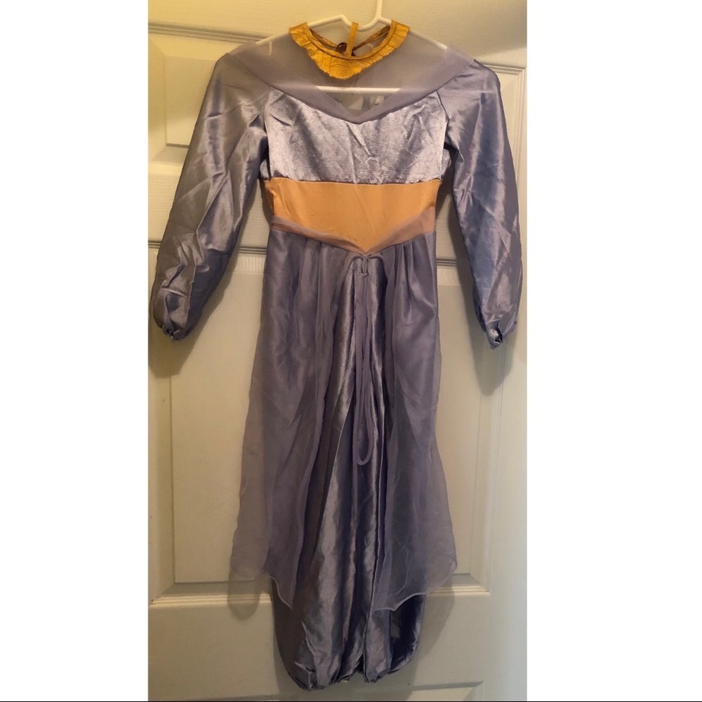 Princess Jasmine Purple Costume